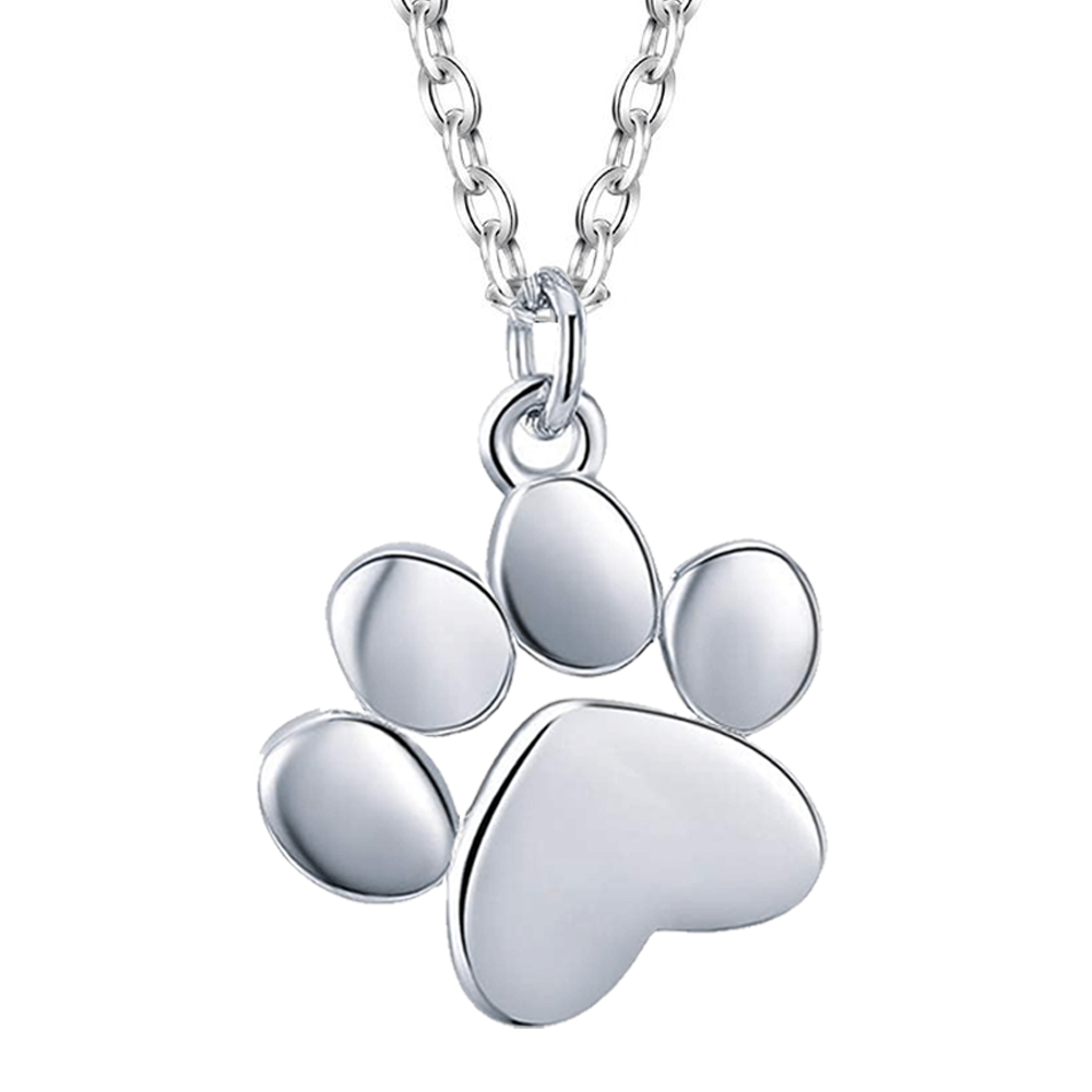 Collana Zampa - Acciaio Inox Lucidato di Alta Qualità