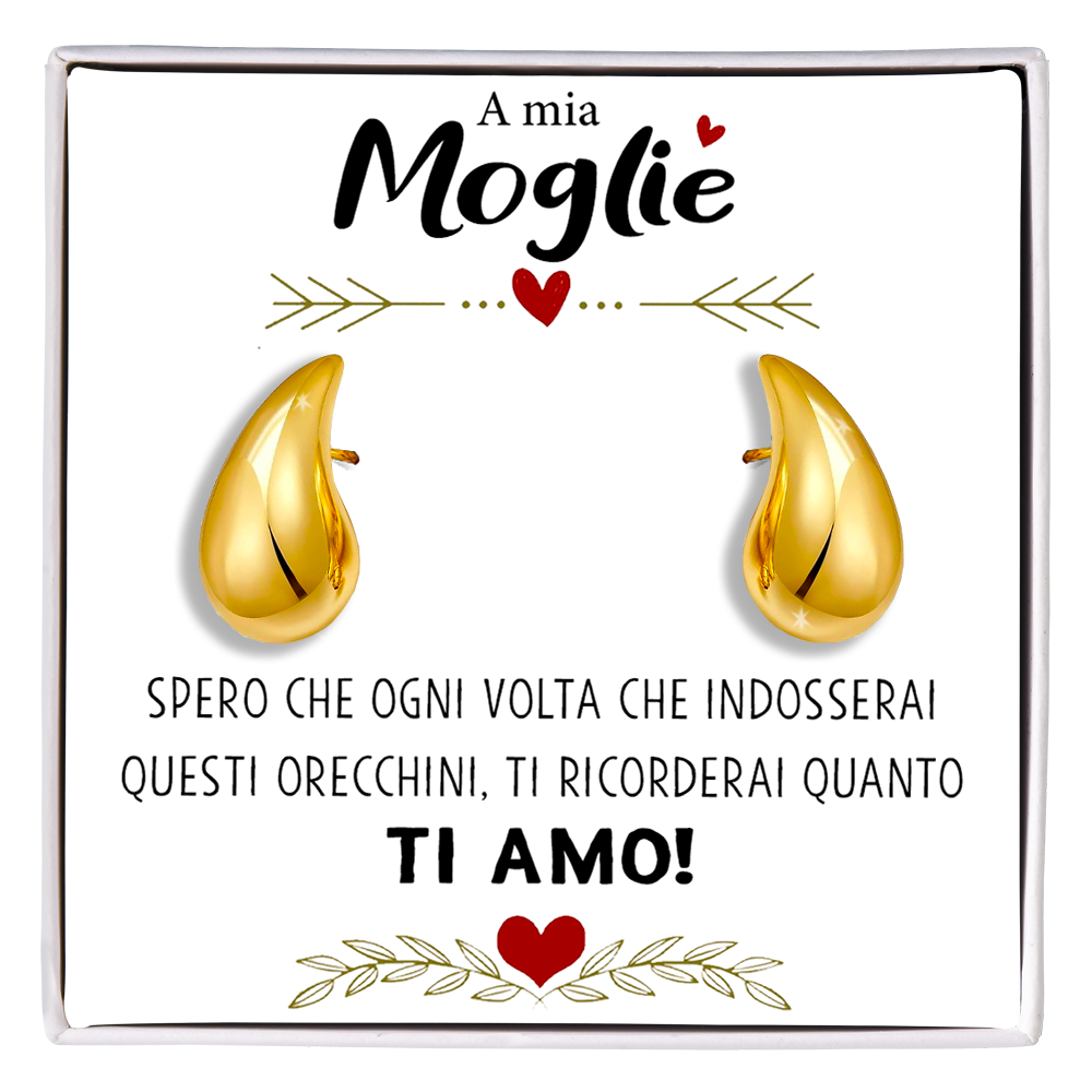 Orecchini a Goccia in Acciaio chirurgico - A mia Moglie